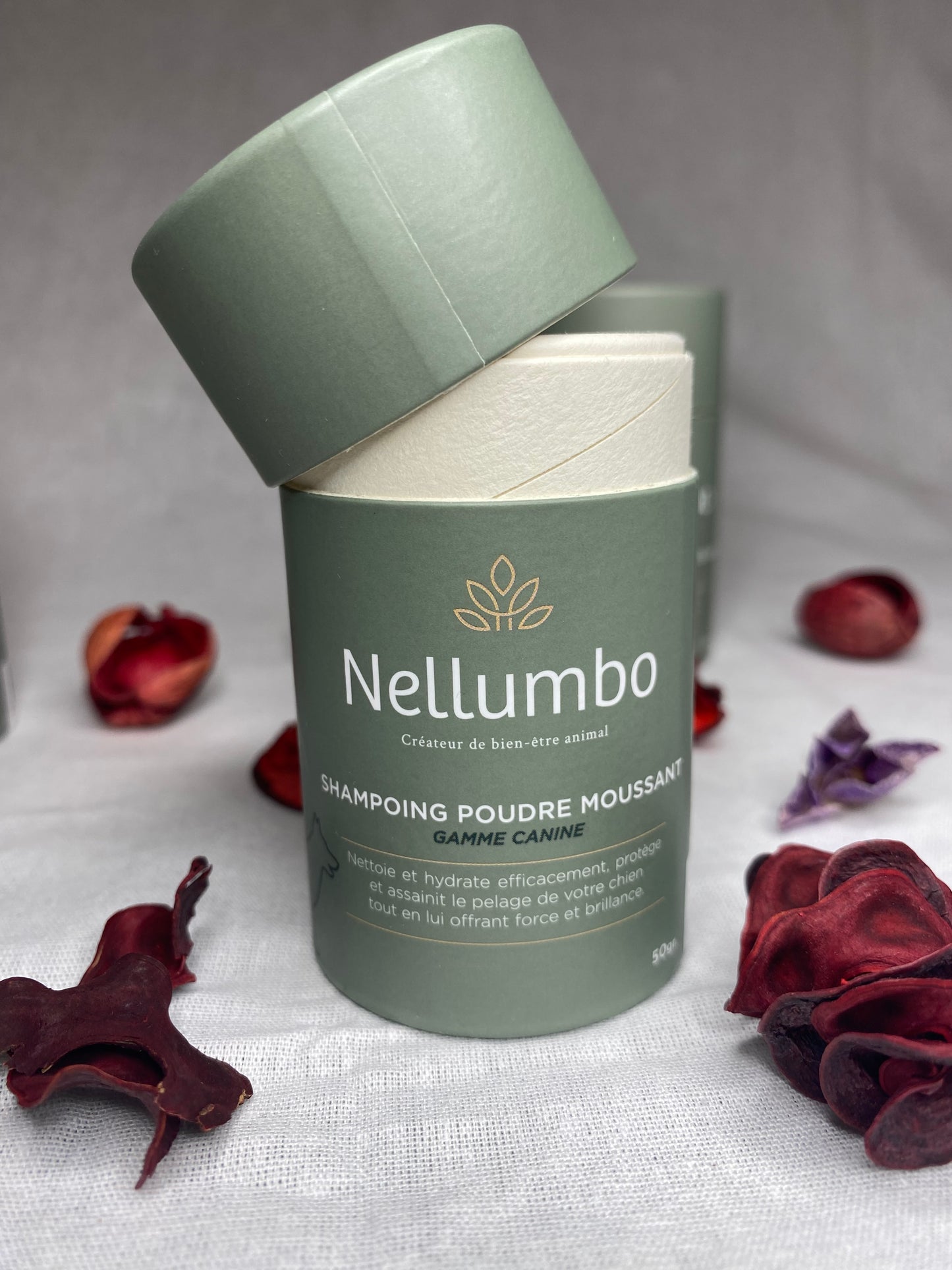 Shampoing naturel pour chiens