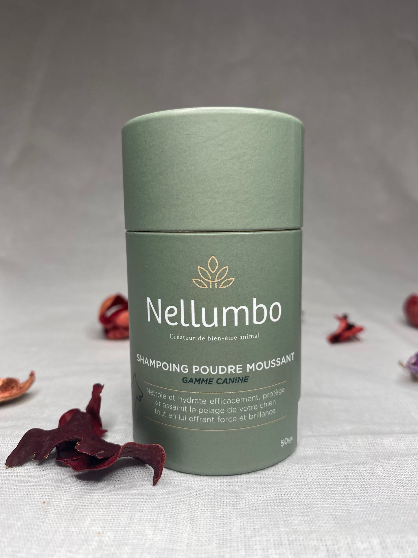 Shampoing naturel pour chiens