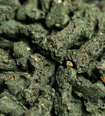 Friandises végétales système immunitaire